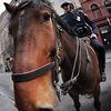 Mounted NYPD Cop Defends Police Car, Shoots Man
